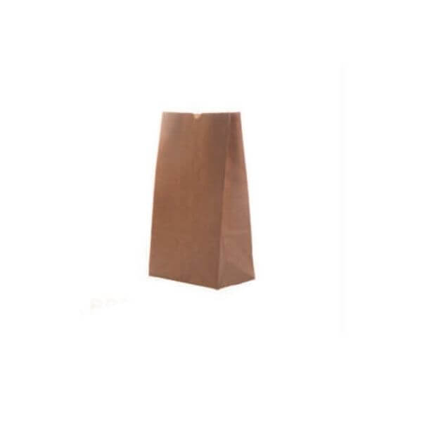 Brown Paper Bag #2