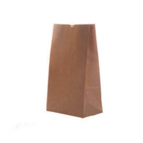 Brown Paper Bag #8